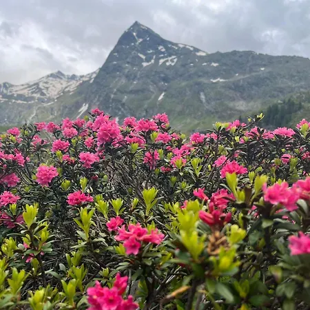 Michls Hoamat für 6-10 Personen * Sölden